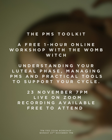 Pms tool kit online FREE WORKSHOP