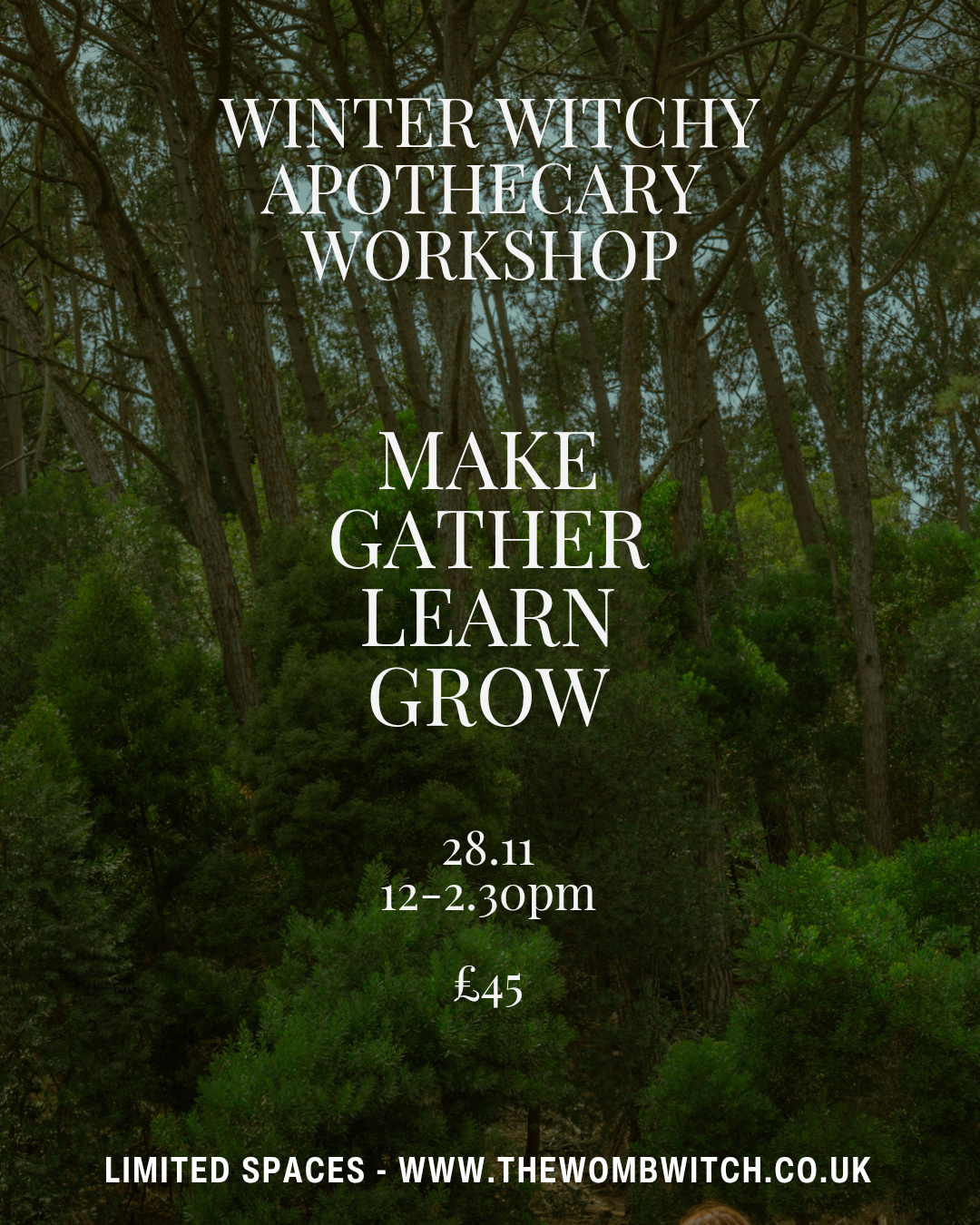 Winter witchy apothecary workshop - in person